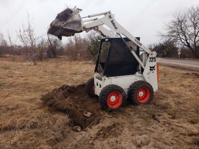 Bobcat B250 [1]