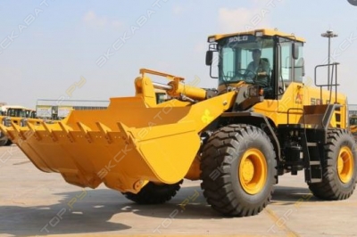 L958H [3]