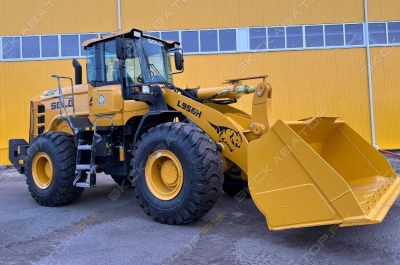 L958H [1]