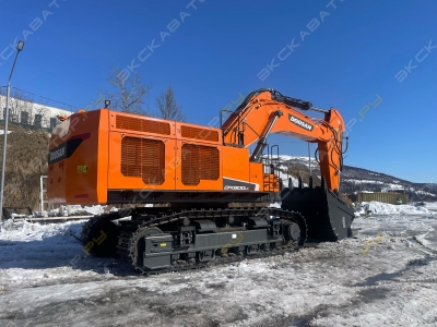 DX800LC [1]