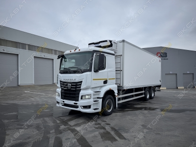 КамАЗ 65658-B5 [1]