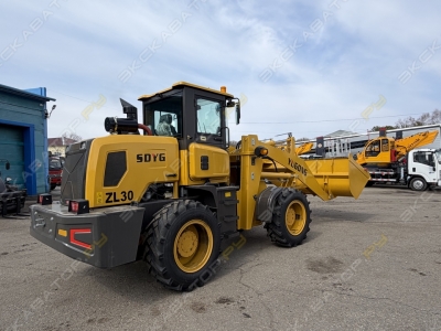 Yugong ZL30 [3]