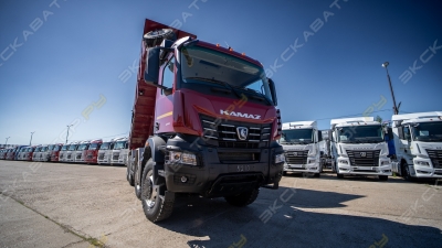 КамАЗ 65951 [3]