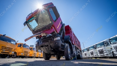 КамАЗ 65951 [2]
