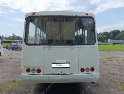 ПАЗ 4234-04 [3]