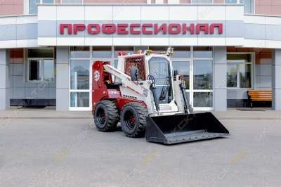 Профессионал ПМ-1250 [0]