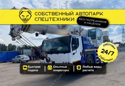 LTM 1050-3.1 (50 тонн 39 метров) [0]