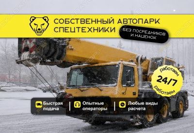 RT550E (45 тонн 39 метров) [0]