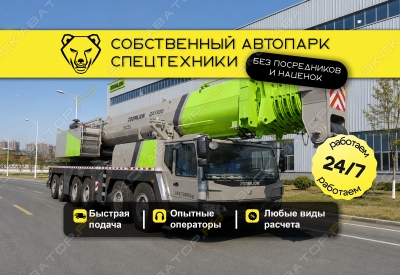 ZAT3000V753.3C (300 тонн 80 + гусек 32 метра) [0]