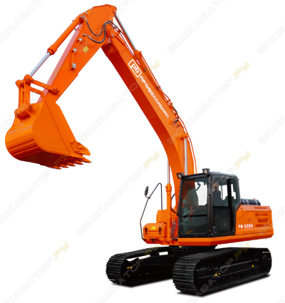 Профессионал PB225N [1]