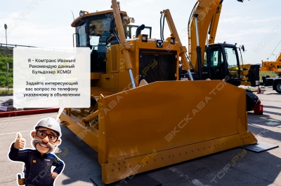 XCMG D260 [2]