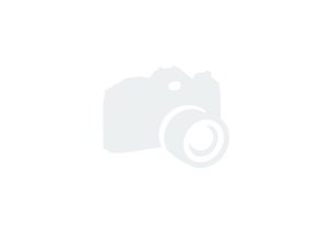 XCMG XE335C [5]