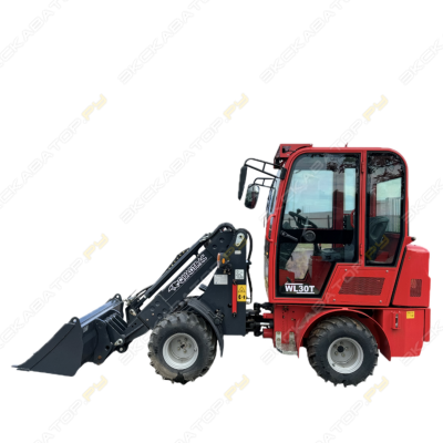 Телескопический мини погрузчик QUADTRAC WL30T [0]