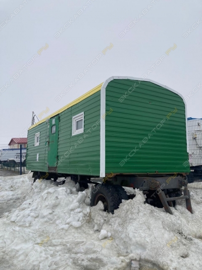 Кедр [3]