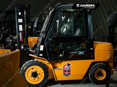 Zauberg DS30-X [1]