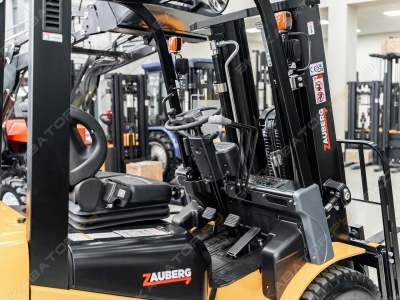Zauberg DS25-X [4]