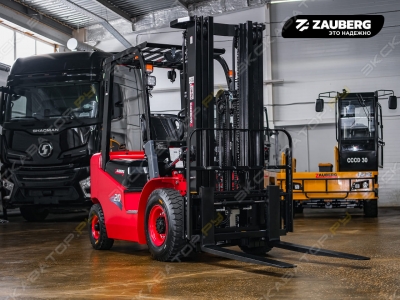Zauberg DS20-M [1]
