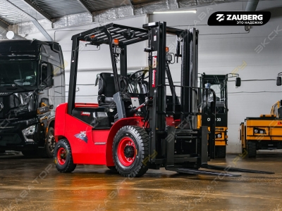 Zauberg DS25-M [1]