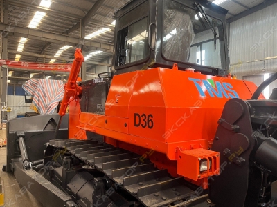 TMS D36 [2]