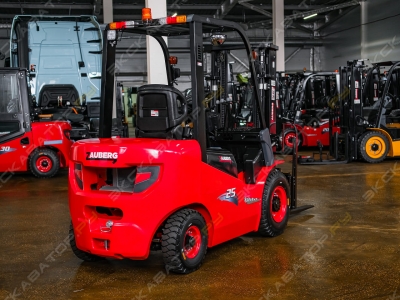 Zauberg DS25-M [3]