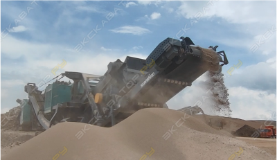 SP300CTD [1]