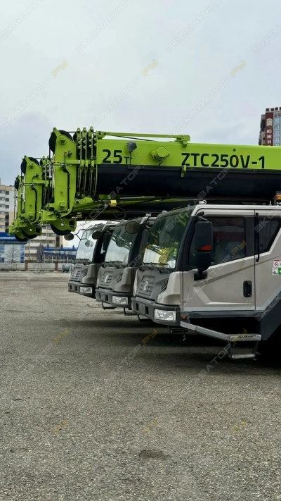 ZTC250V-1 [2]