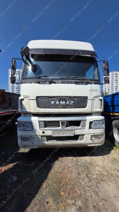 КамАЗ 5490 [1]