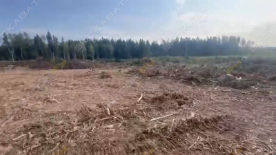 Timbertrack ТТ-4М [3]