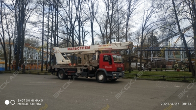 WT 425 [4]