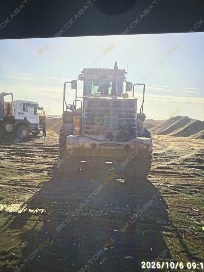 Hitachi ZW 220 [3]