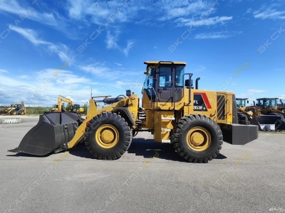 Lovol FL953F-N [1]