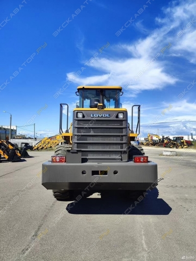 Lovol FL953F-N [3]