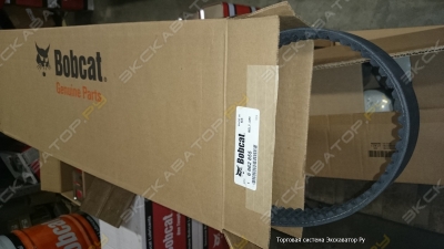 parts/2015/06/16/remen_privodnoj__dlja_bobcat_v.jpg