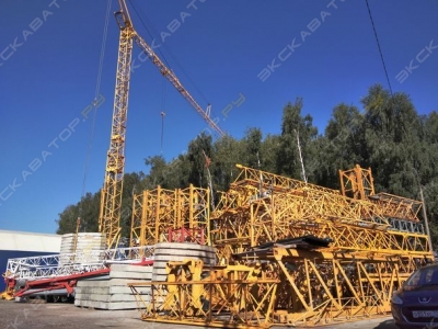 79 [0]