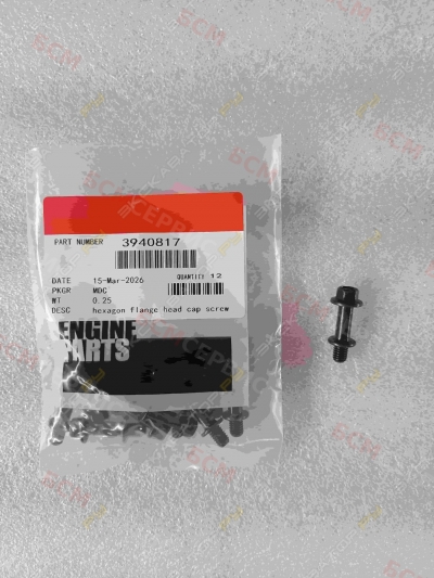 Болт крепления форсунки Cummins QSC8.3 ISLE 3940817 3940817 [1]