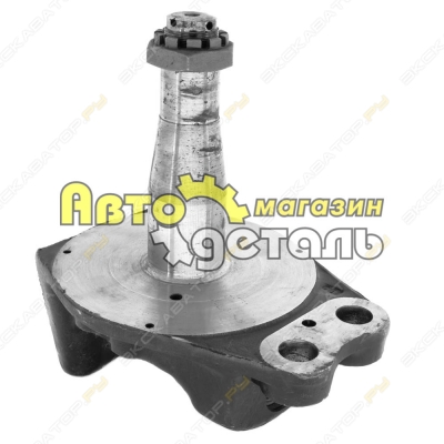Цапфа поворотная HOWO [1]