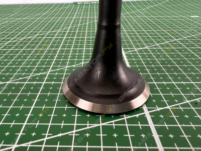 44 [1]