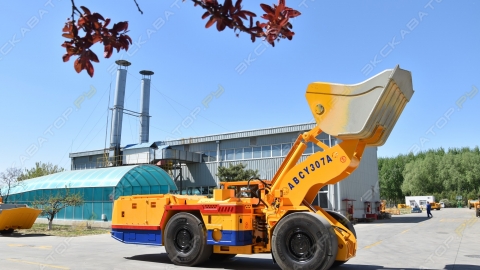 ABCY 307