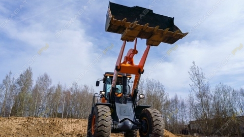 dor08582