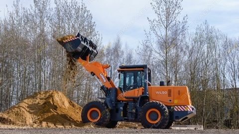 dor08625