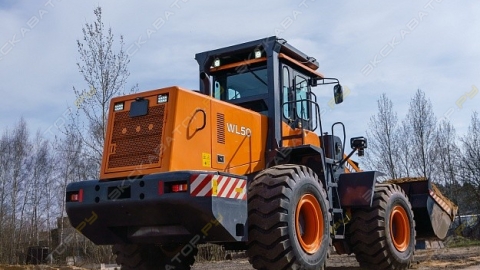 dor08639