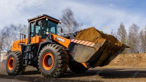 dor09543