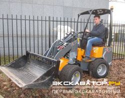 Мини-погрузчики фронтальные GiANT D204 SW