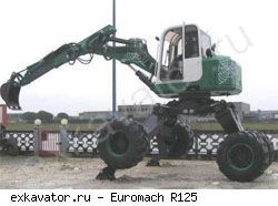 Нестандартные экскаваторы Euromach R125