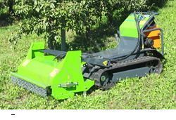 Нестандартная техника Merlo CINGO M10