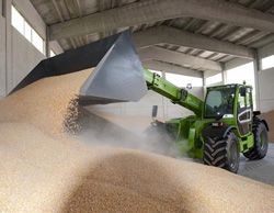 Телескопические погрузчики Merlo MF 40.9 CS