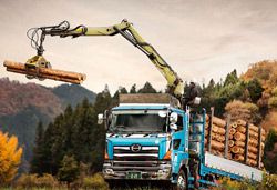 Краны-манипуляторы, КМУ Loglift 105Z89
