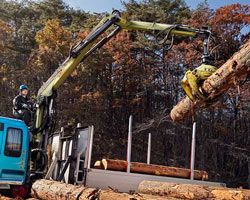 Краны-манипуляторы, КМУ Loglift 61Z71